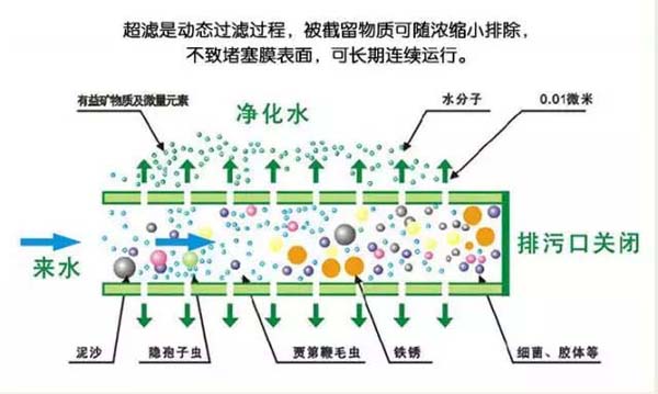 凈水濾芯超濾膜