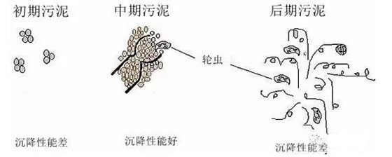 活性污泥的SVI（污泥體積指數(shù)）